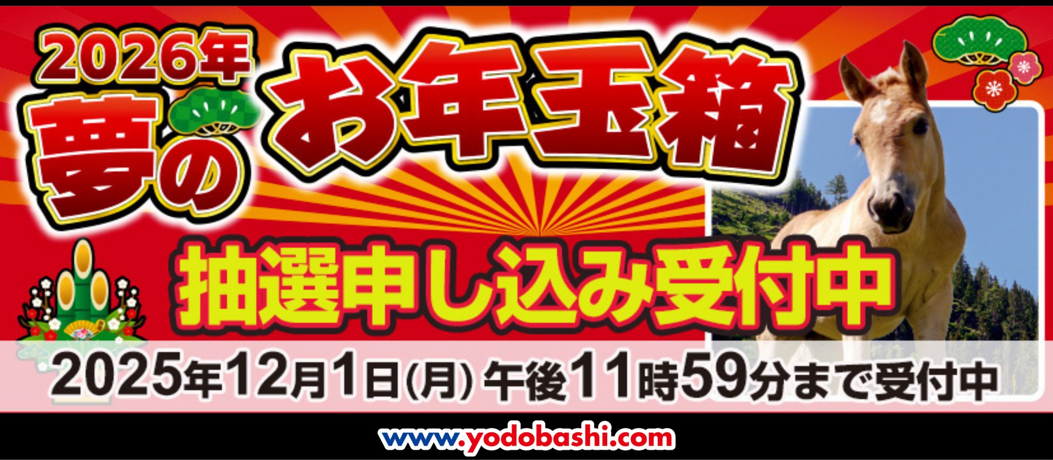 ヨドバシ福袋2026 夢のお年玉箱 抽選申し込み受付中の公式バナー画像